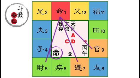 紫微斗數免費|紫微斗數算命